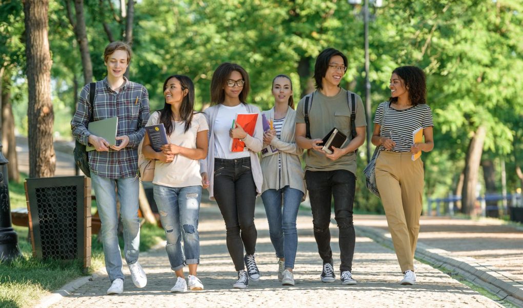 Scuole private a Mogliano Veneto