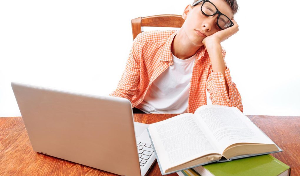 Scuole private a Sirolo